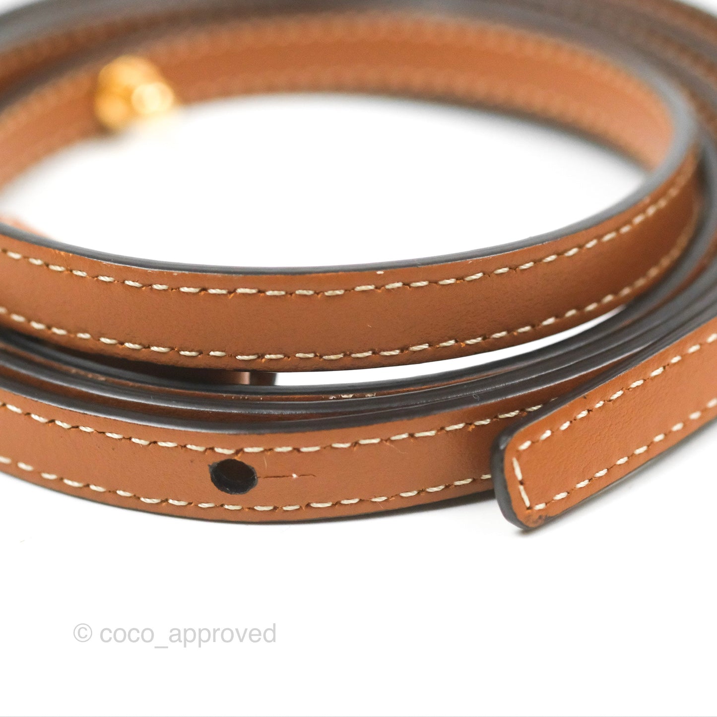 Celine Wallet On Strap Triomphe Canvas Tan Lambskin