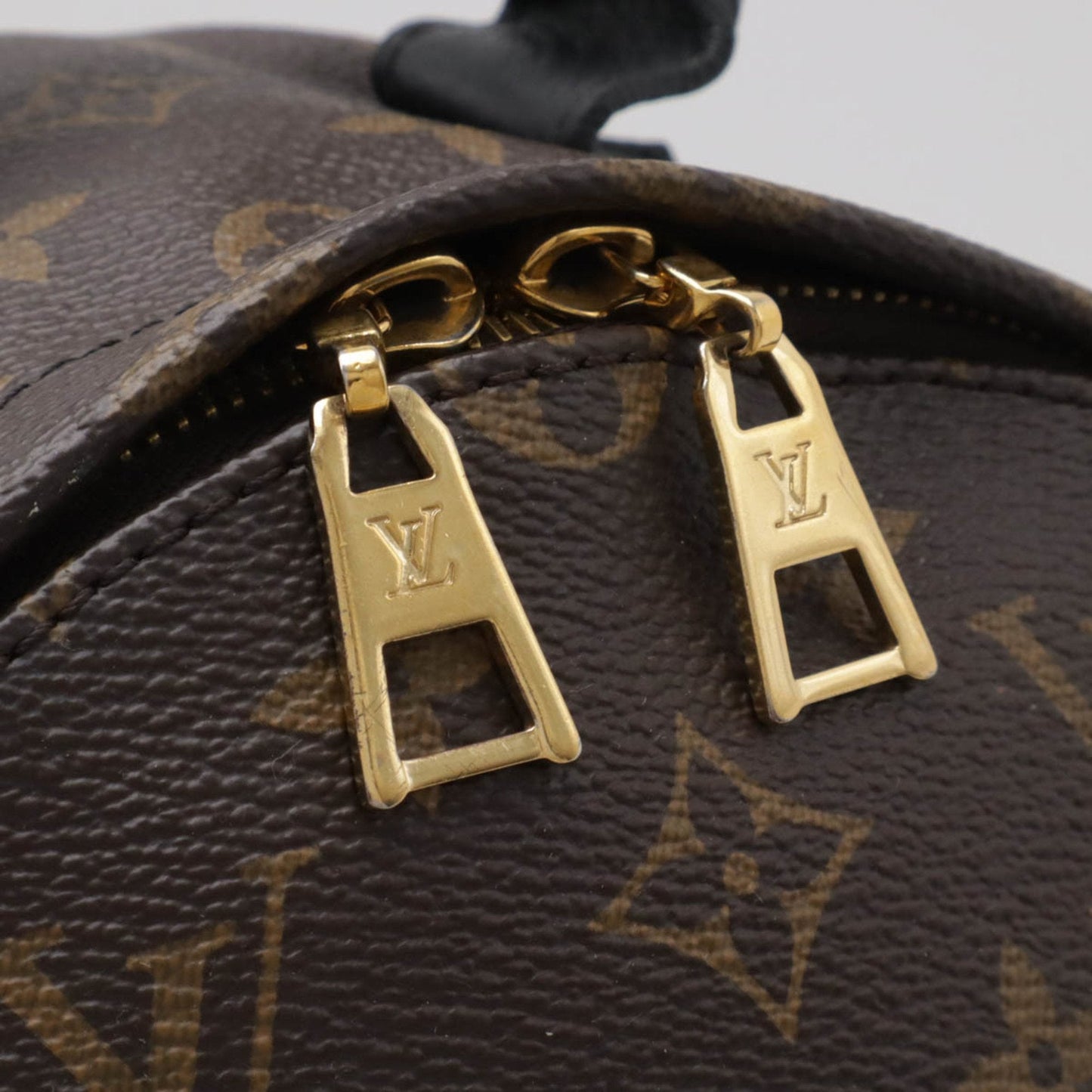 LOUIS VUITTON Palm SpRing mini Backpack