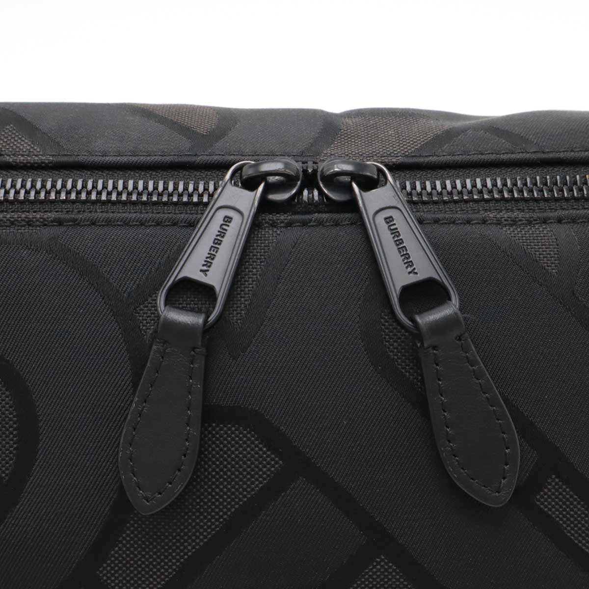 Burberry SONNY TB Monogram Nylon Canvas Belt Bag