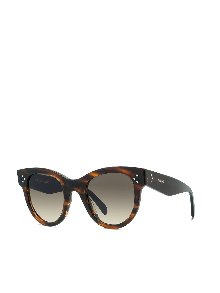 Round Sunglasses CL4003IN Brown Havana