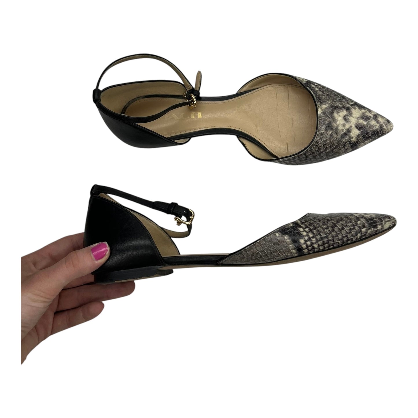 Shoes Designer By Coach In Snakeskin Print, Size:7.5