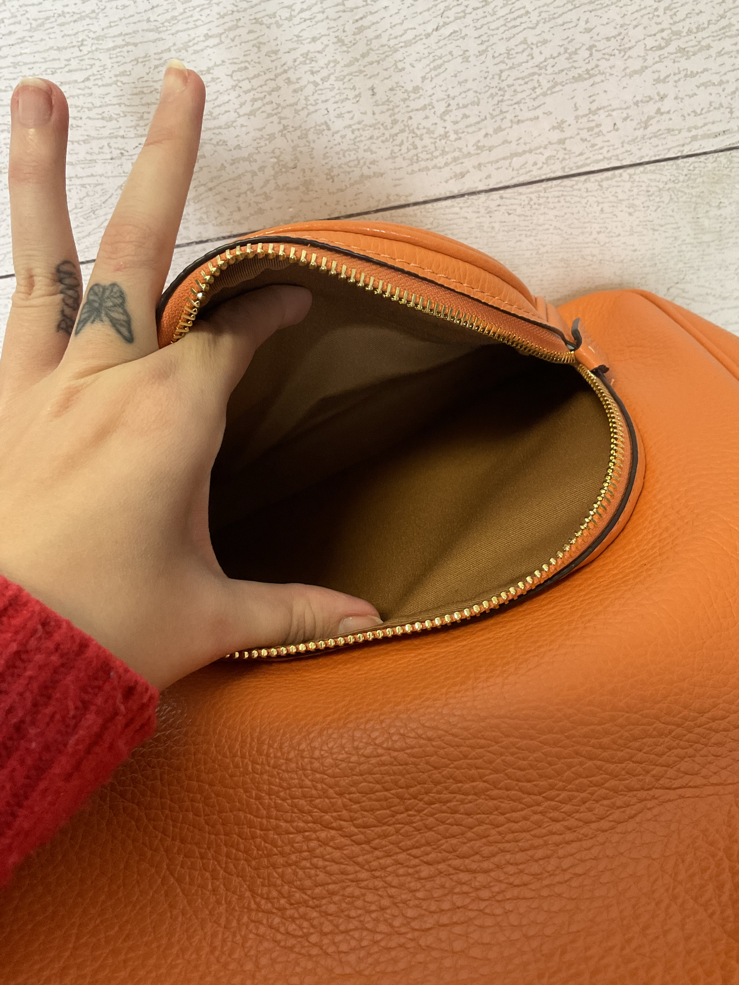Backpack Designer By Coach Size: Medium