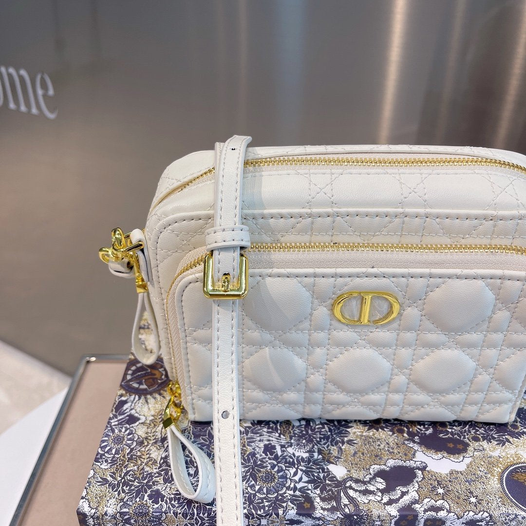 Luxury Handbags Christian Dior 304