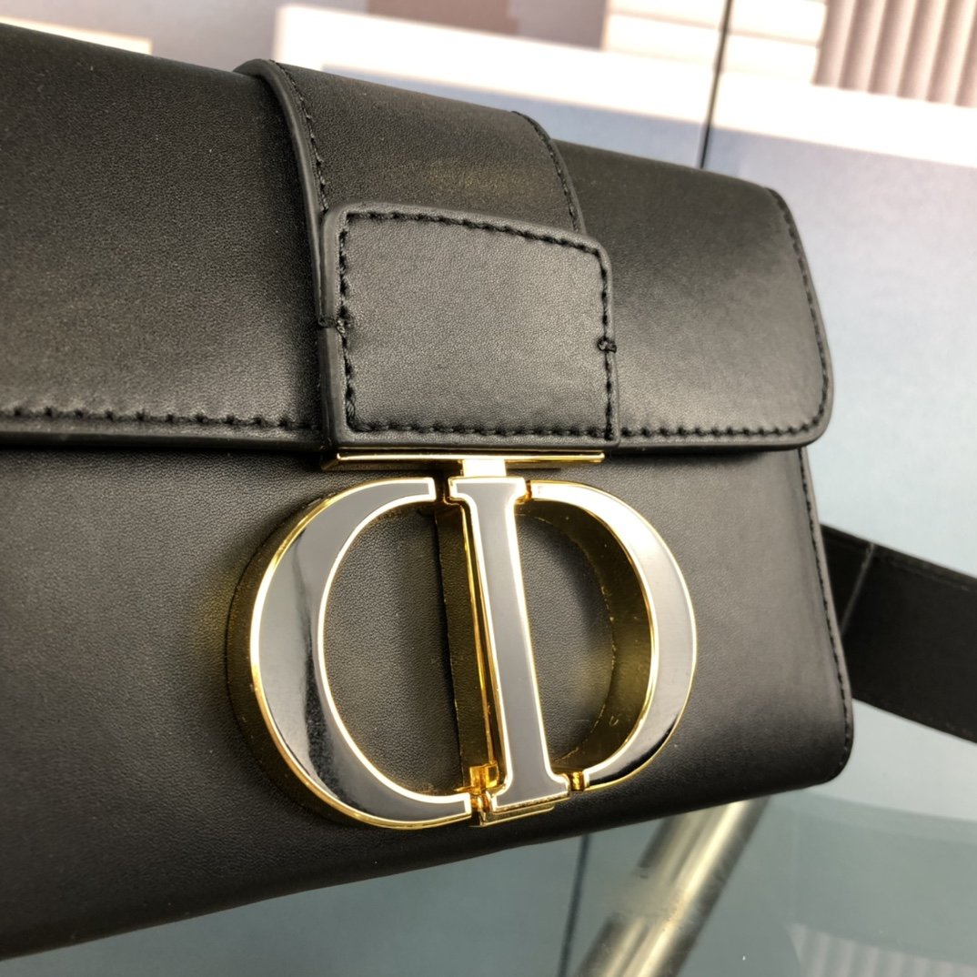 Luxury Handbags Christian Dior 244