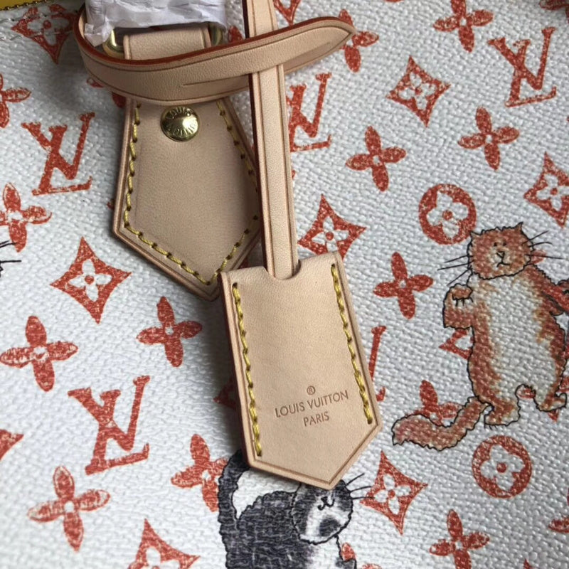 Louis Vuitton Luxury Bags 2055