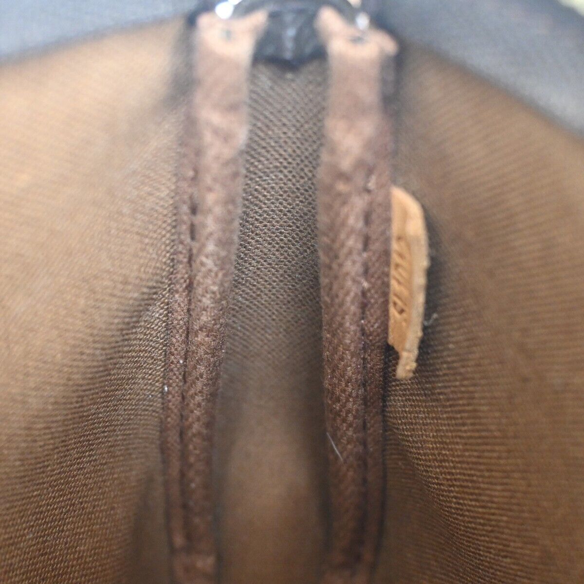 LOUIS VUITTON Pochette accessoires Clutch Bag