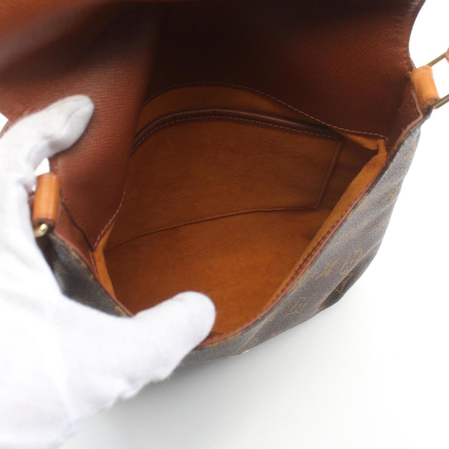 Louis Vuitton Monogram Pvc Leather Shoulder Bag