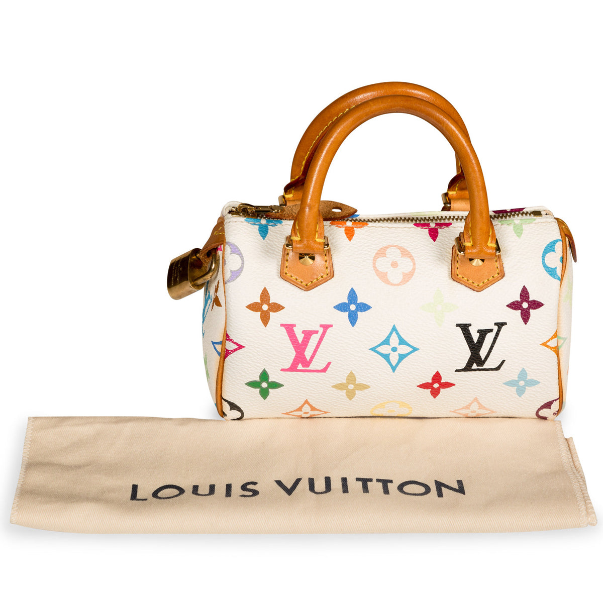 Speedy HL - Multicolore Canvas