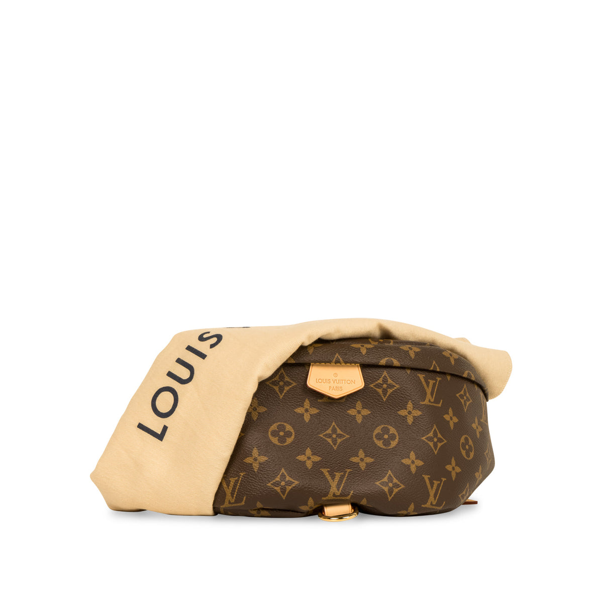 Bumbag - Monogram Canvas