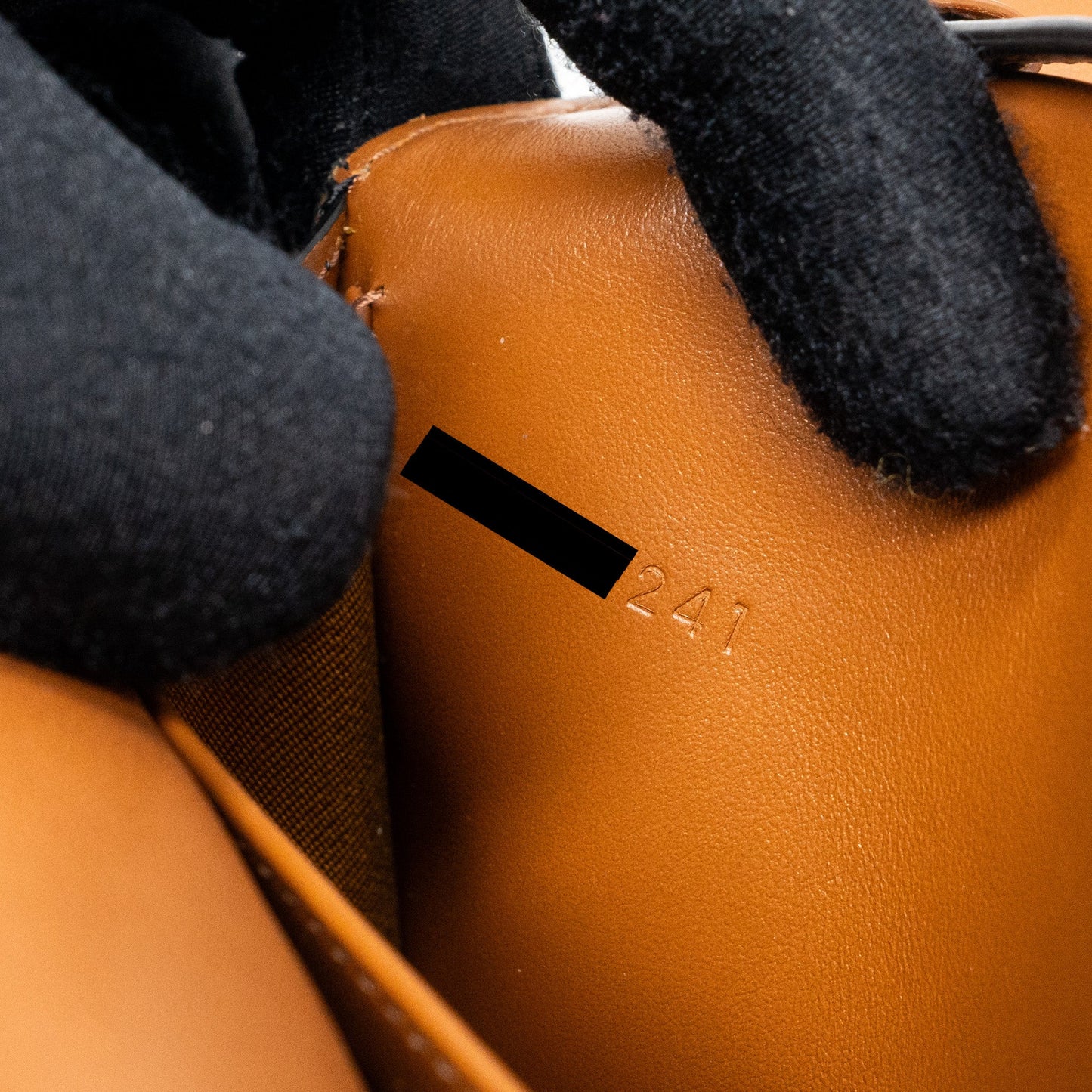 Celine Wallet On Strap Triomphe Canvas/ Lambskin Tan GHW