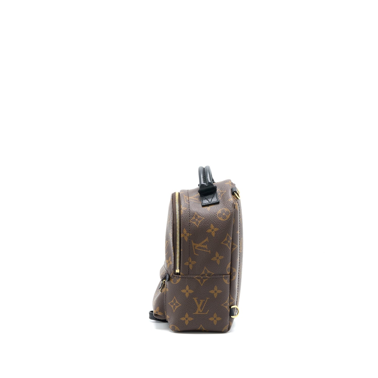 Louis Vuitton Mini Palm Spring Backpack Monogram Canvas GHW (New Version)