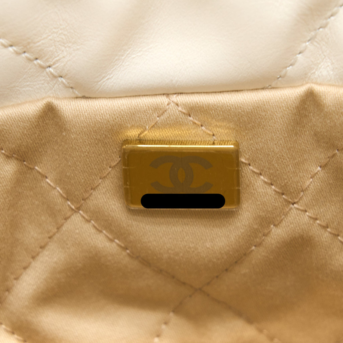 Chanel Mini 22 Bag Shiny Calfskin White Brushed GHW (Microchip)