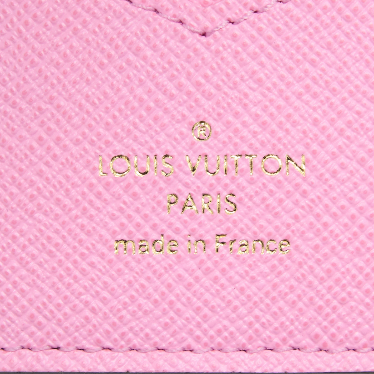 Louis Vuitton Vivienne Holidays Passport Cover Monogram Canvas (New Version)