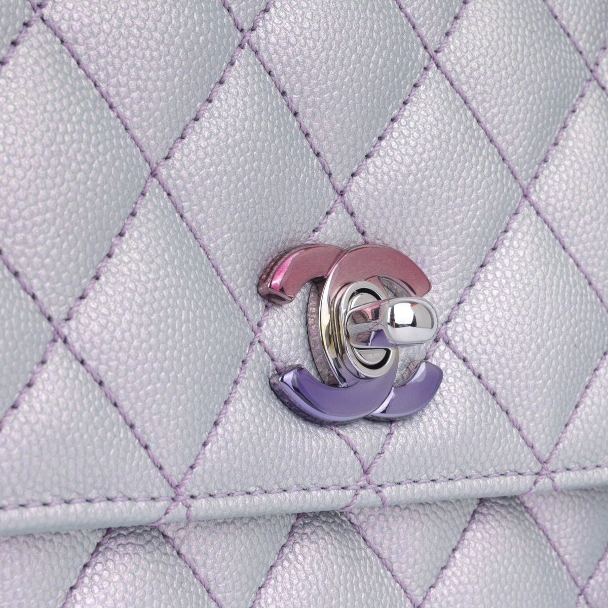 Small Coco Handle - Purple Iridescent