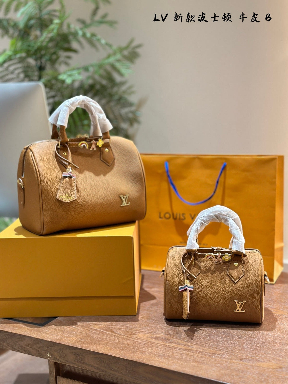 LB1111 Speedy Bandoulière 20/25