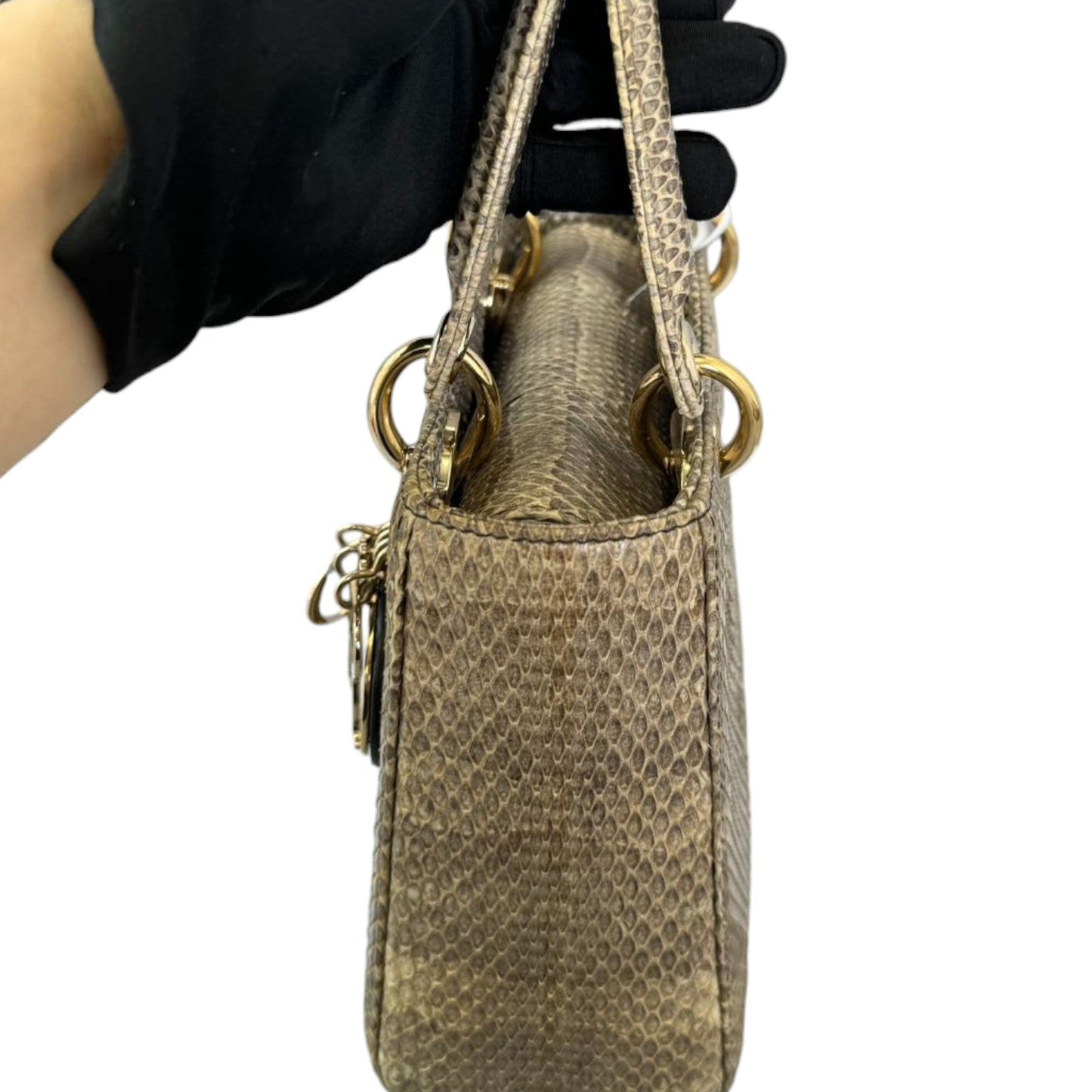 Lady Dior Small Snakeskin Python Multicolor GHW
