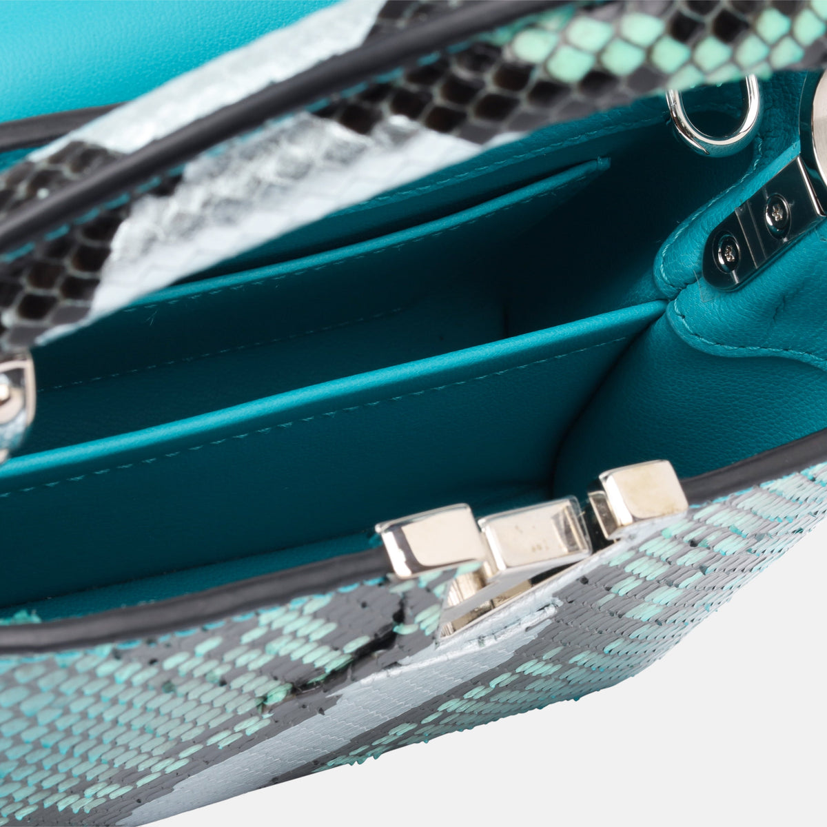 Capucines BB - Blue Python