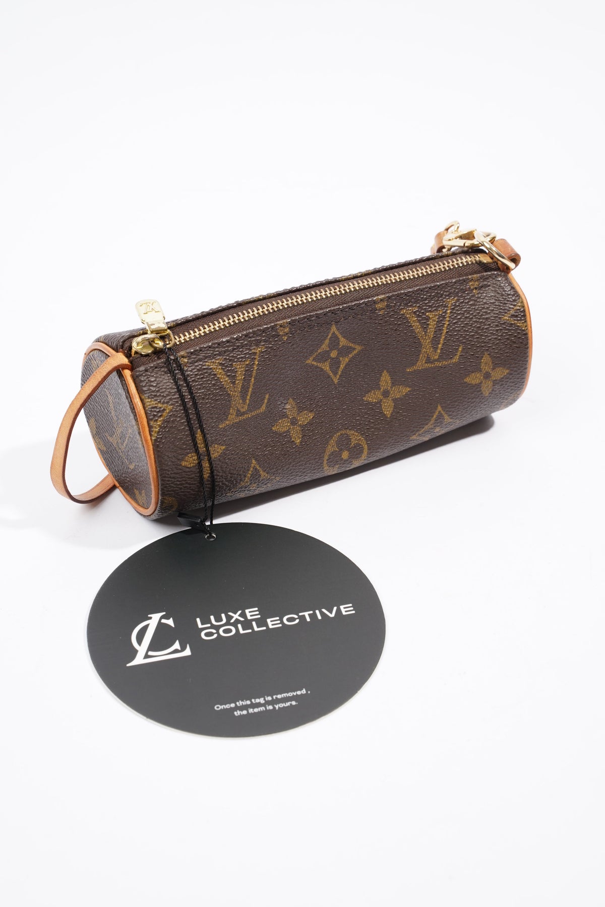 Louis Vuitton Papillon Monogram Coated Canvas Mini