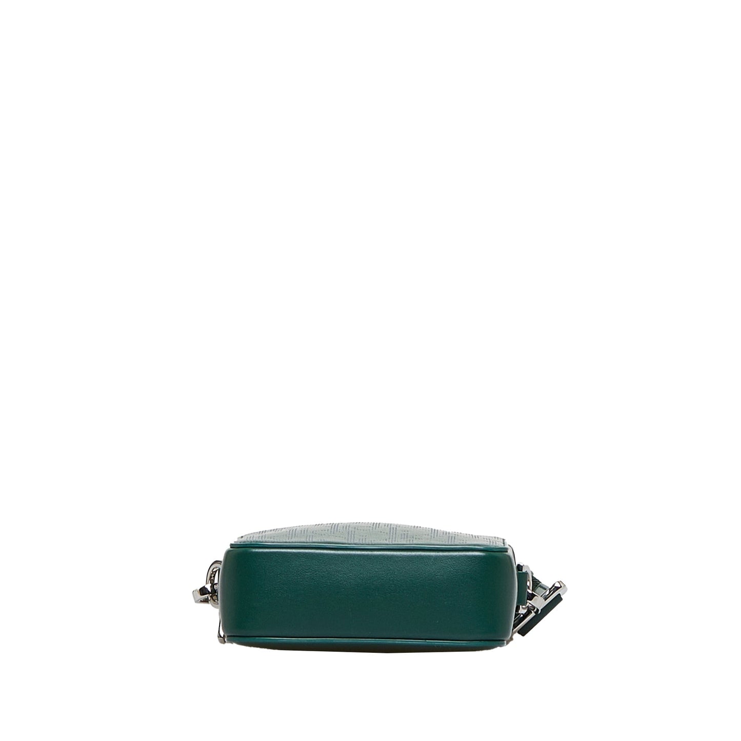 Dior World Tour Green Oblique Canvas