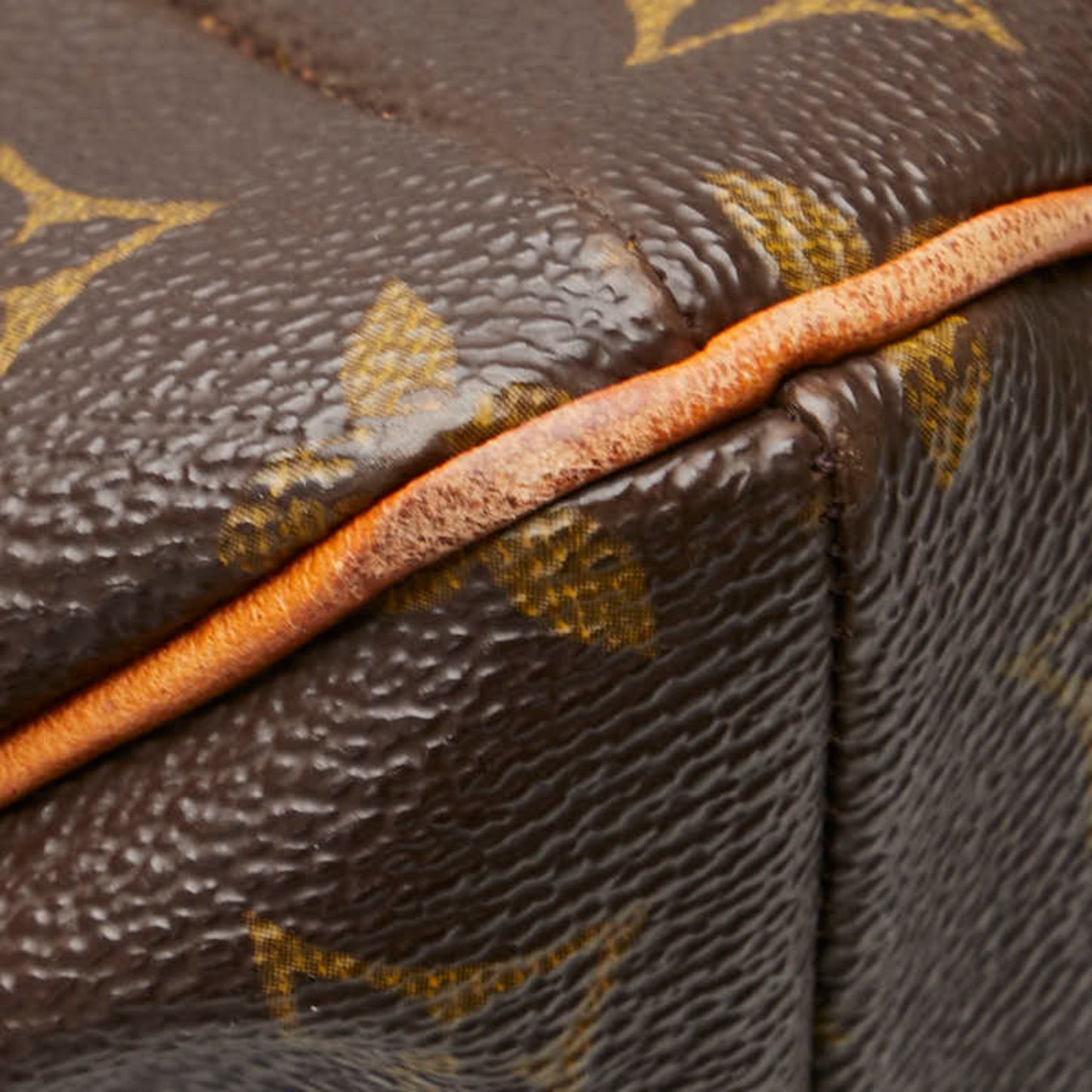 Louis Vuitton Monogram Pvc Leather Shoulder Bag