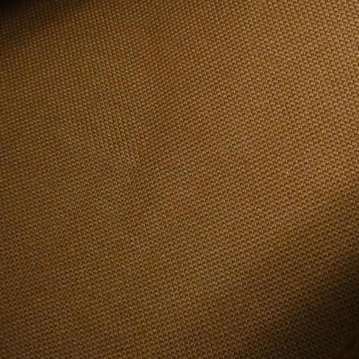 Louis Vuitton Speedy 25Cm Boston