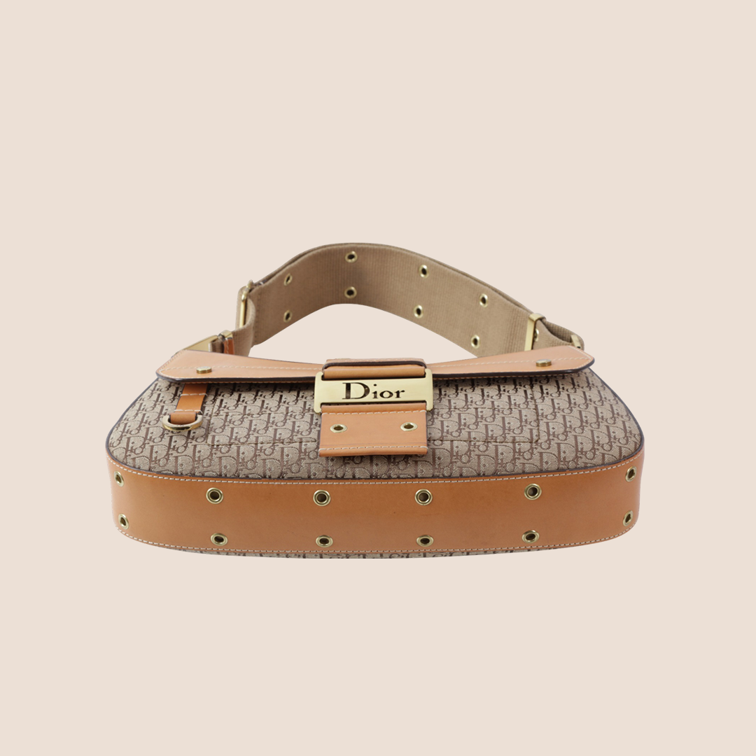 CHRISTIAN DIOR BEIGE DIORISSIMO STREET CHIC COLUMBUS BAG