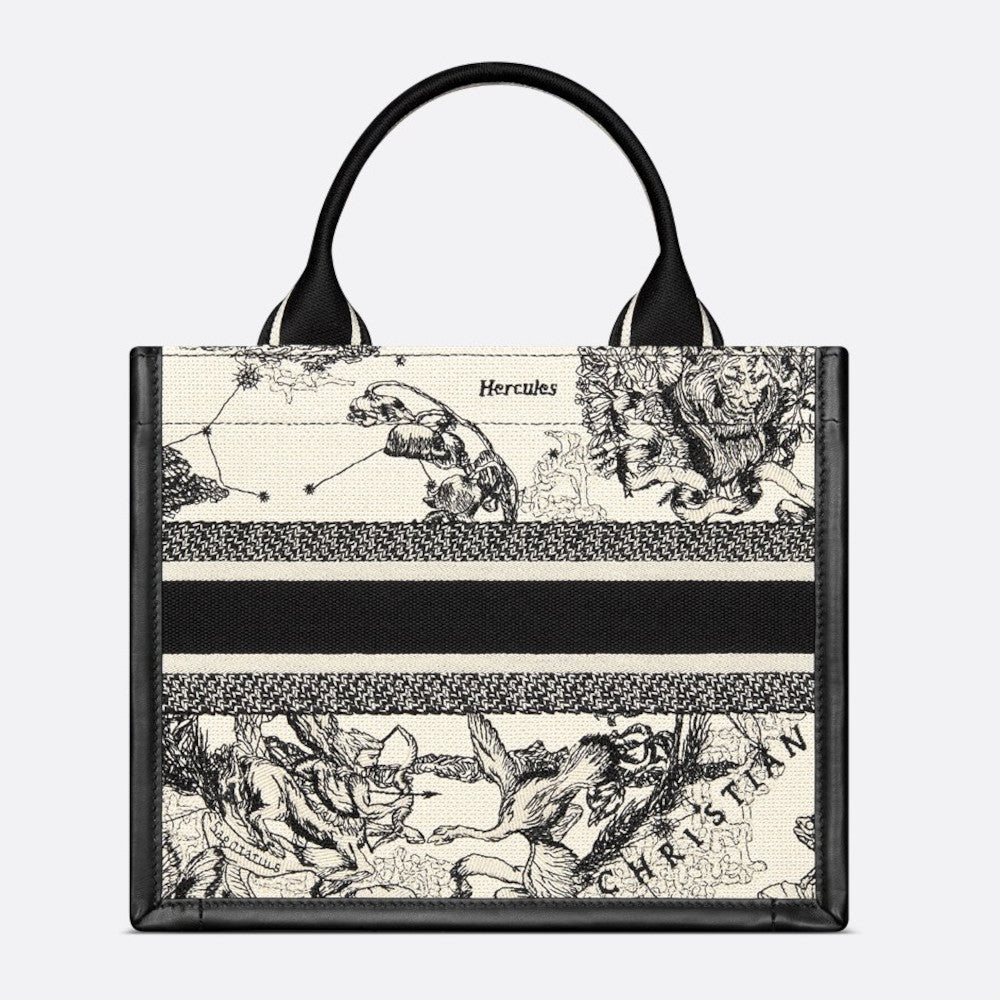 Small Dior Book Tote