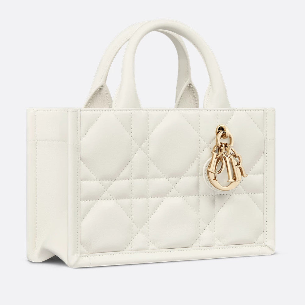 Mini Dior Book Tote