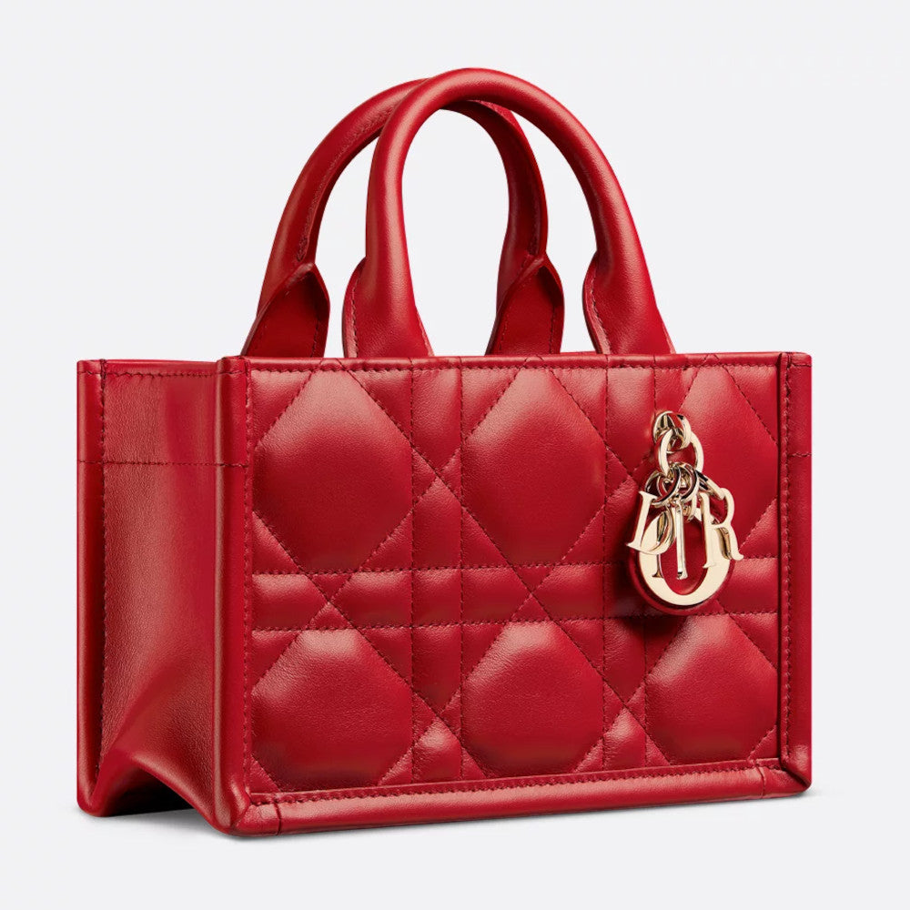 Mini Dior Book Tote