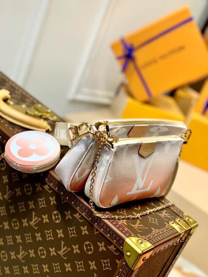 Louis Vuitton Multi-Pochette Accessories Bag