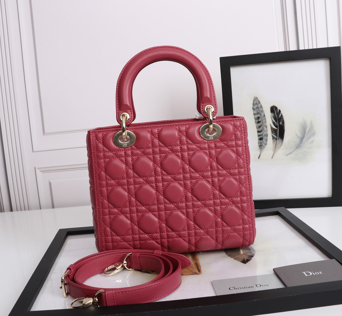 Christian Dior Medium Lady Dior Bag