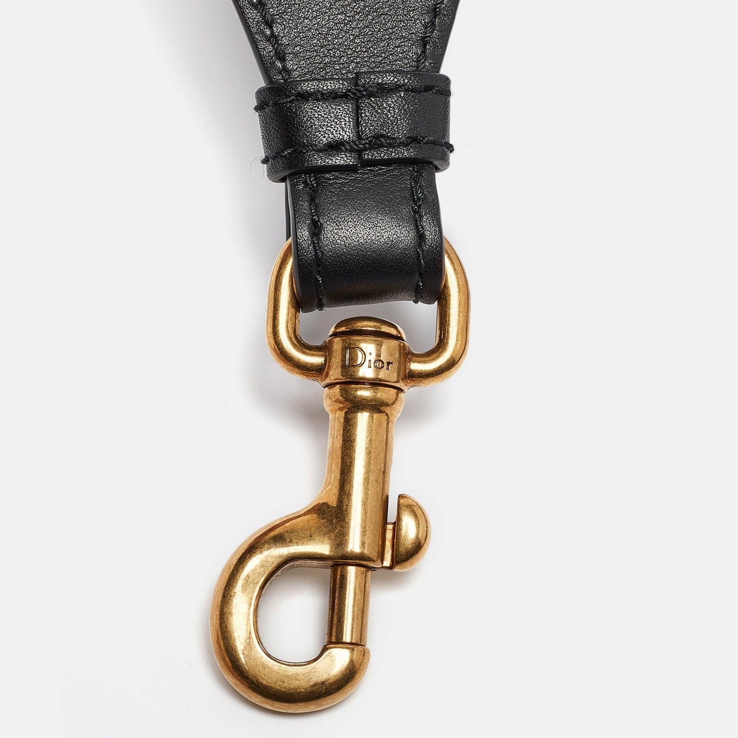 DIOR Multicolor Embroidered Canvas Studded Shoulder Bag Strap