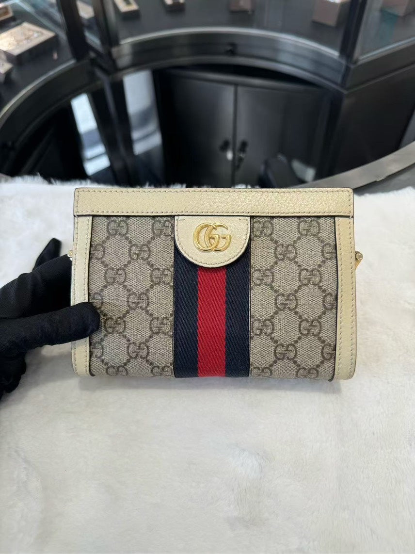 Gucci bag HBG