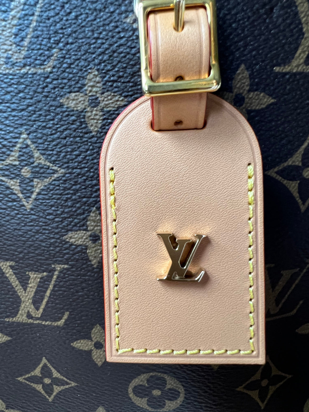 Part payment - Louis Vuitton Odeon Monogram