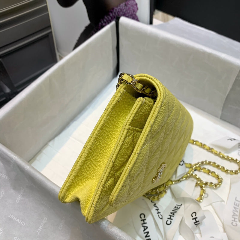 The Arid Bag Shop new Luxury  - Chanel Bags - 394