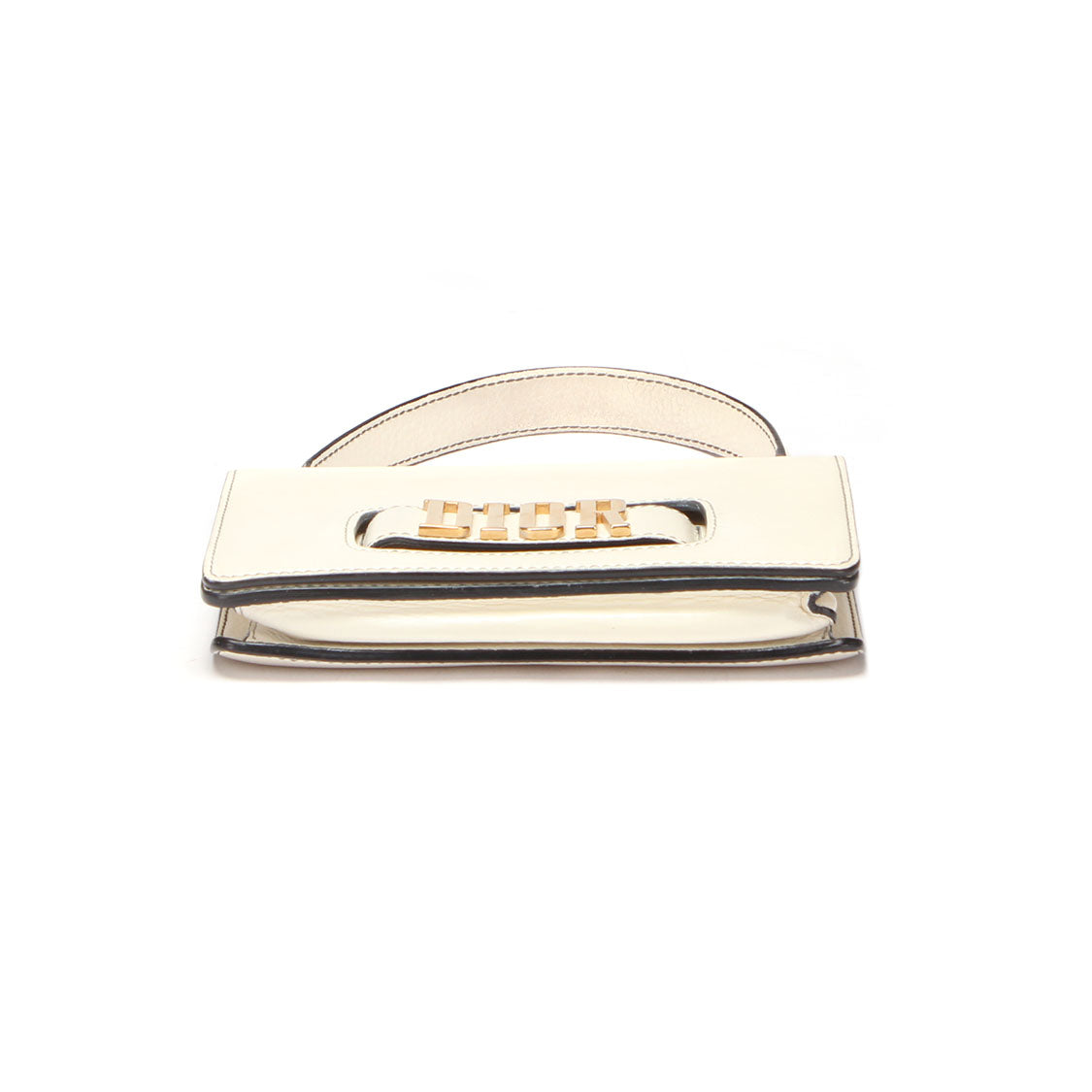 Dio(r)evolution Flap Bag