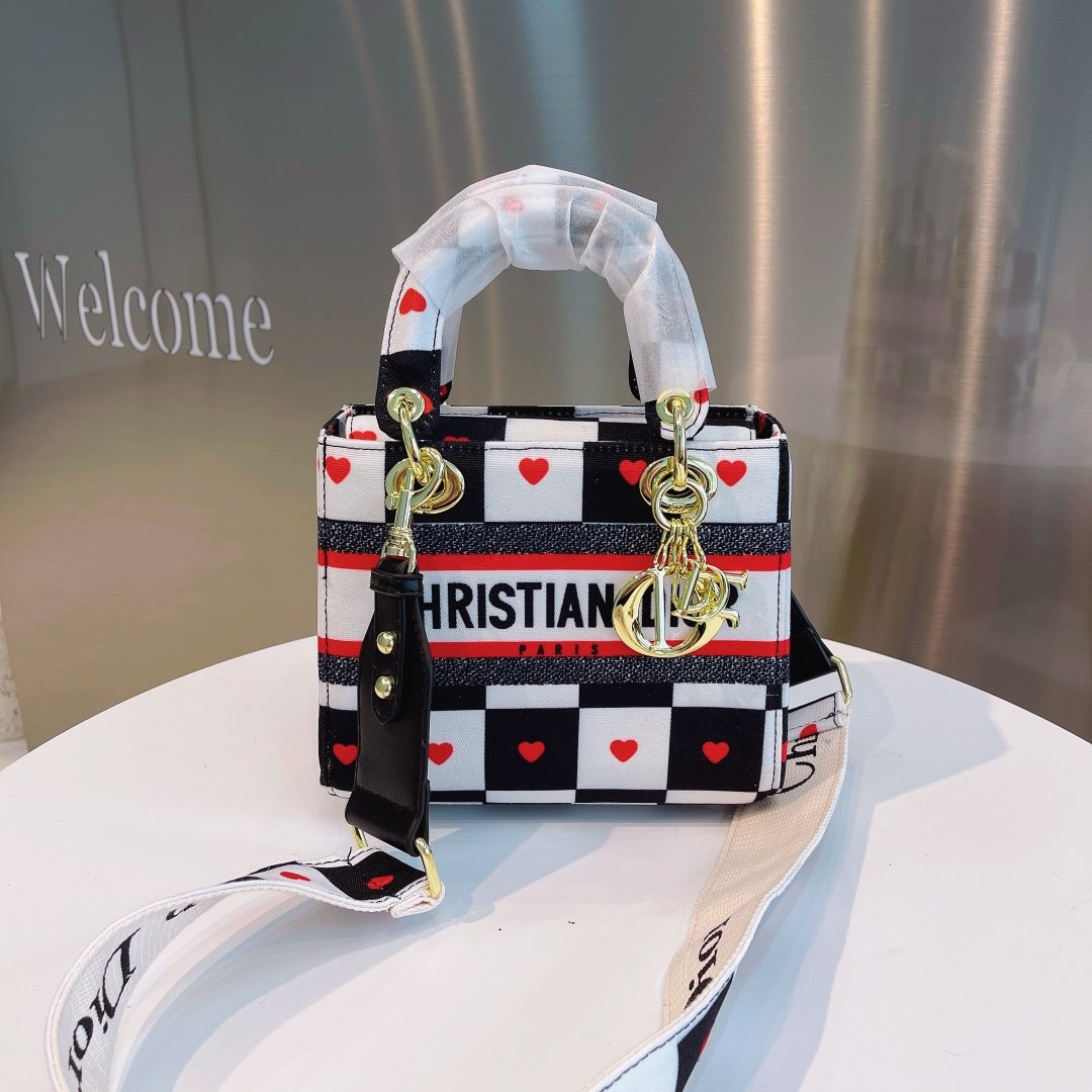 Luxury Handbags Christian Dior 307