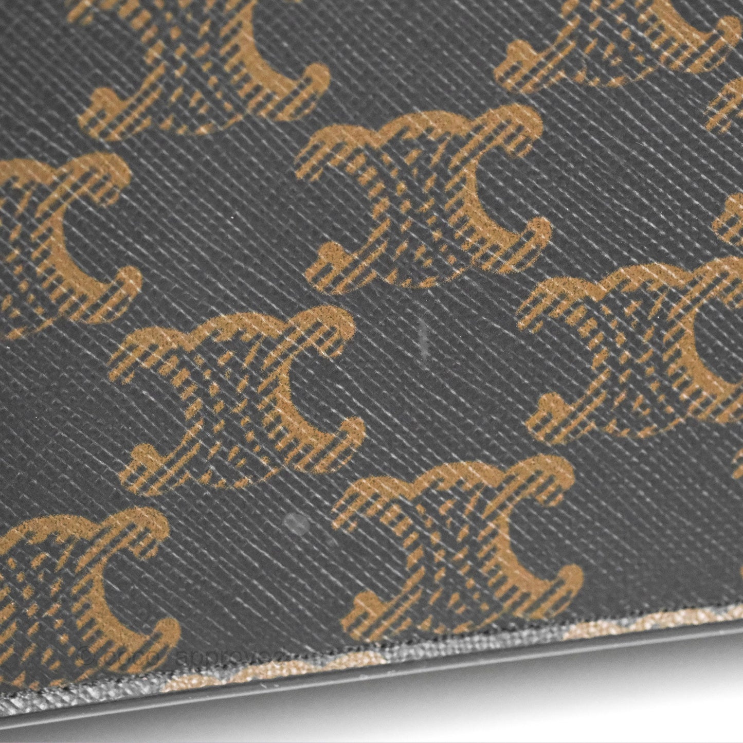 Celine Wallet On Strap Triomphe Canvas Tan Lambskin