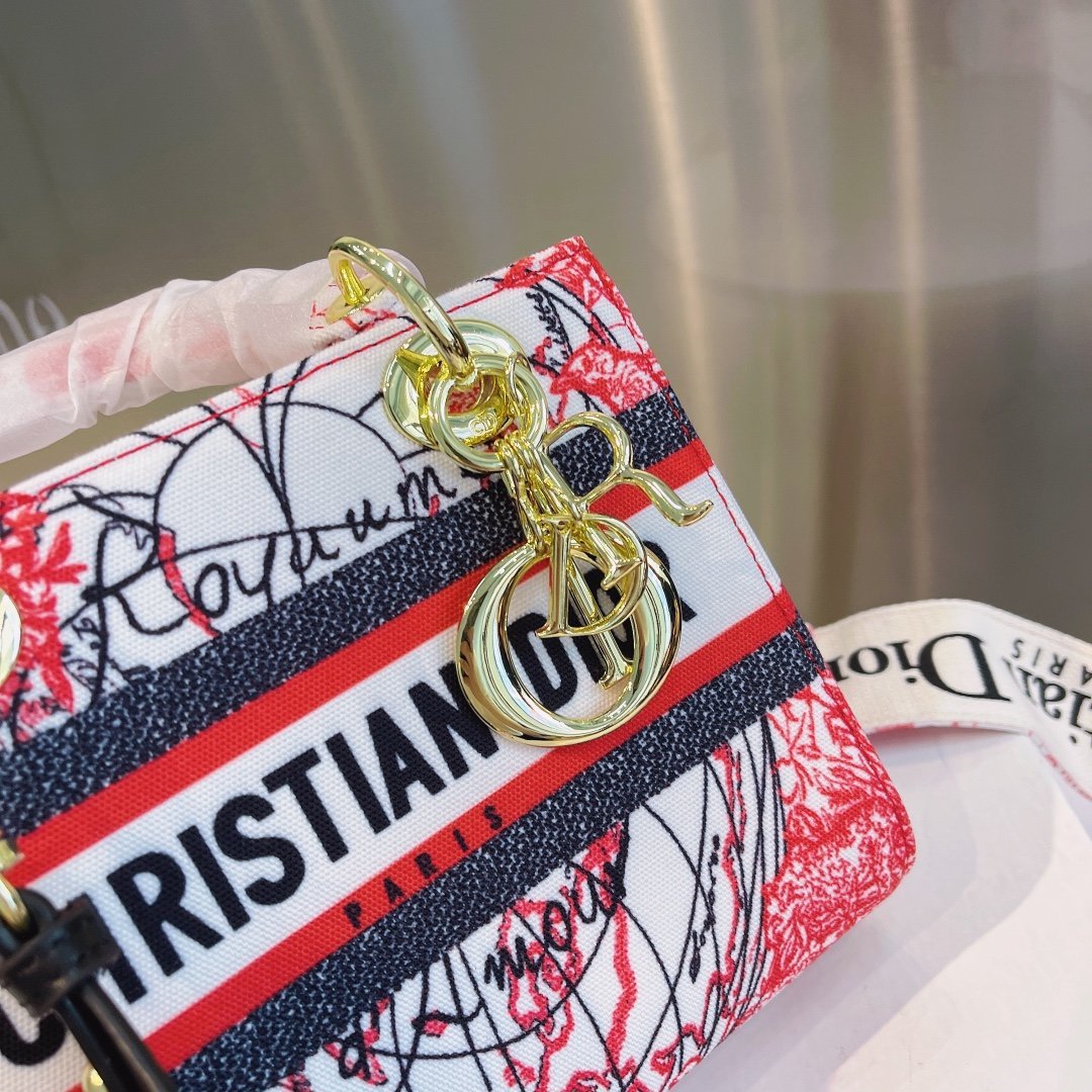 Luxury Handbags Christian Dior 308