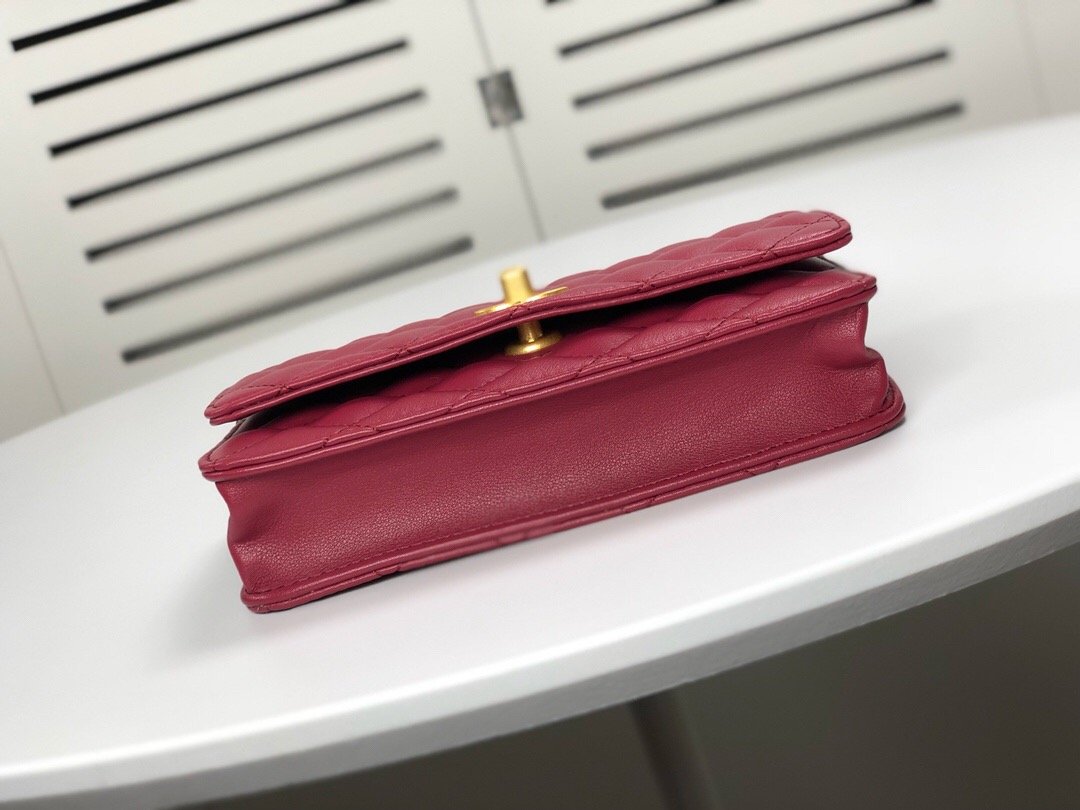 Luxury Edition Bags CH-L 079