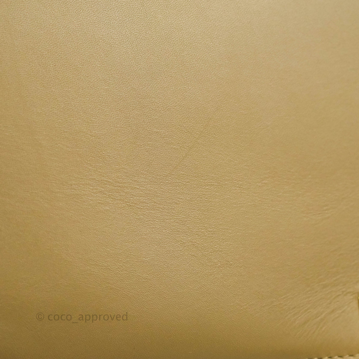 Celine Small Sleek Trapeze Beige Neon Pink Calfskin