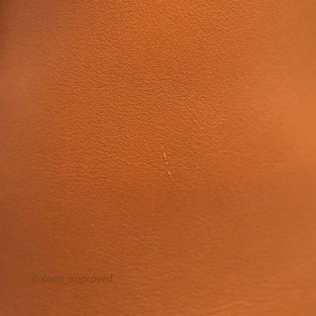 Celine Long Strap Big Bag Brown Bucket Calfskin
