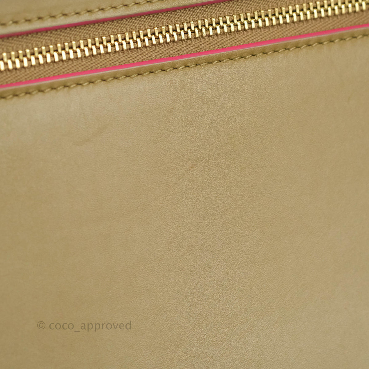 Celine Small Sleek Trapeze Beige Neon Pink Calfskin