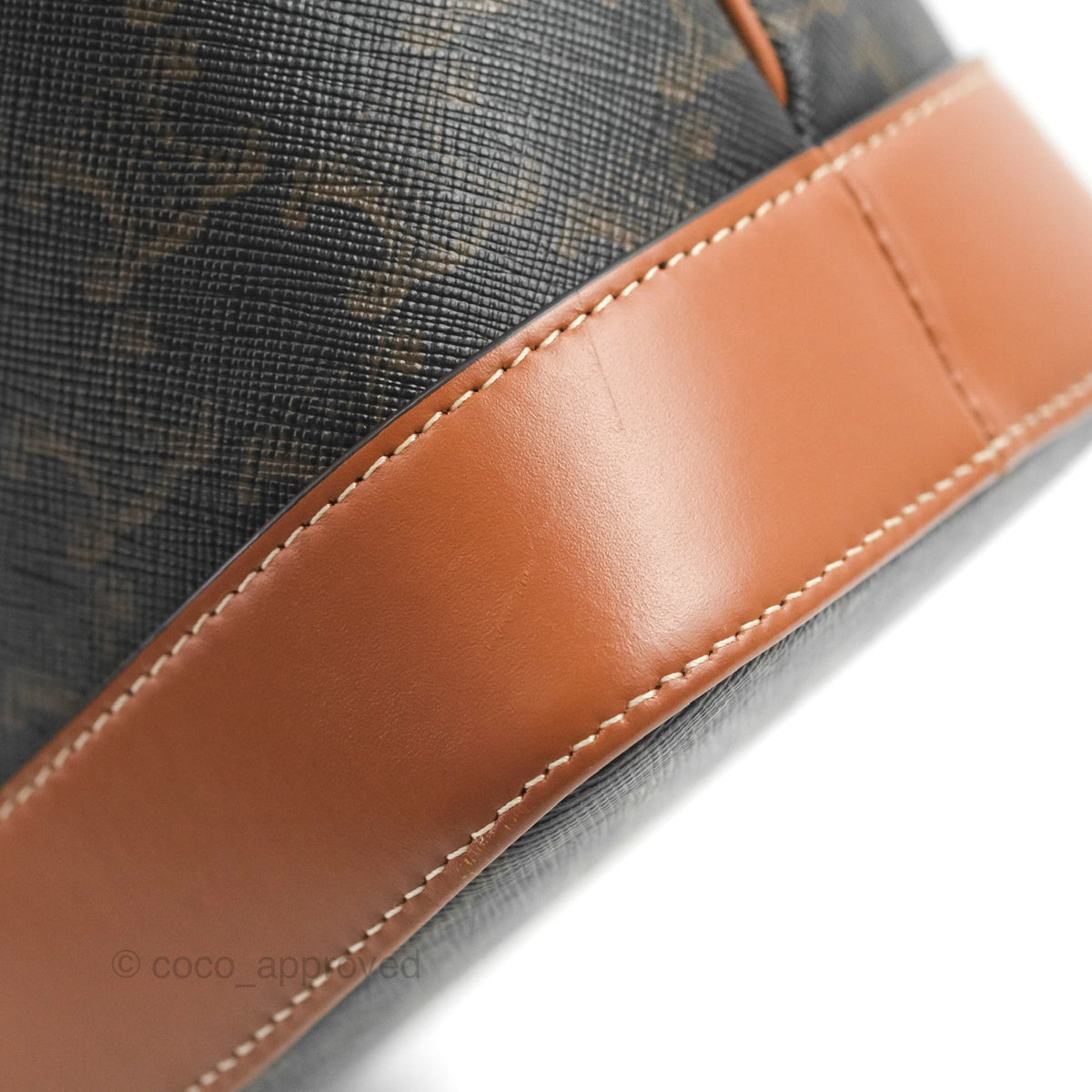 Celine Small Bucket Triomphe Canvas Tan Calfskin