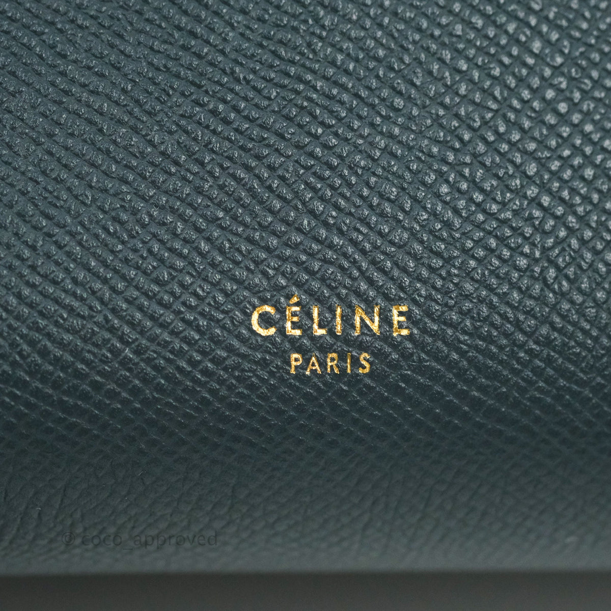 Celine Nano Belt Bag Amazone Grained Calfskin Gold Hardware