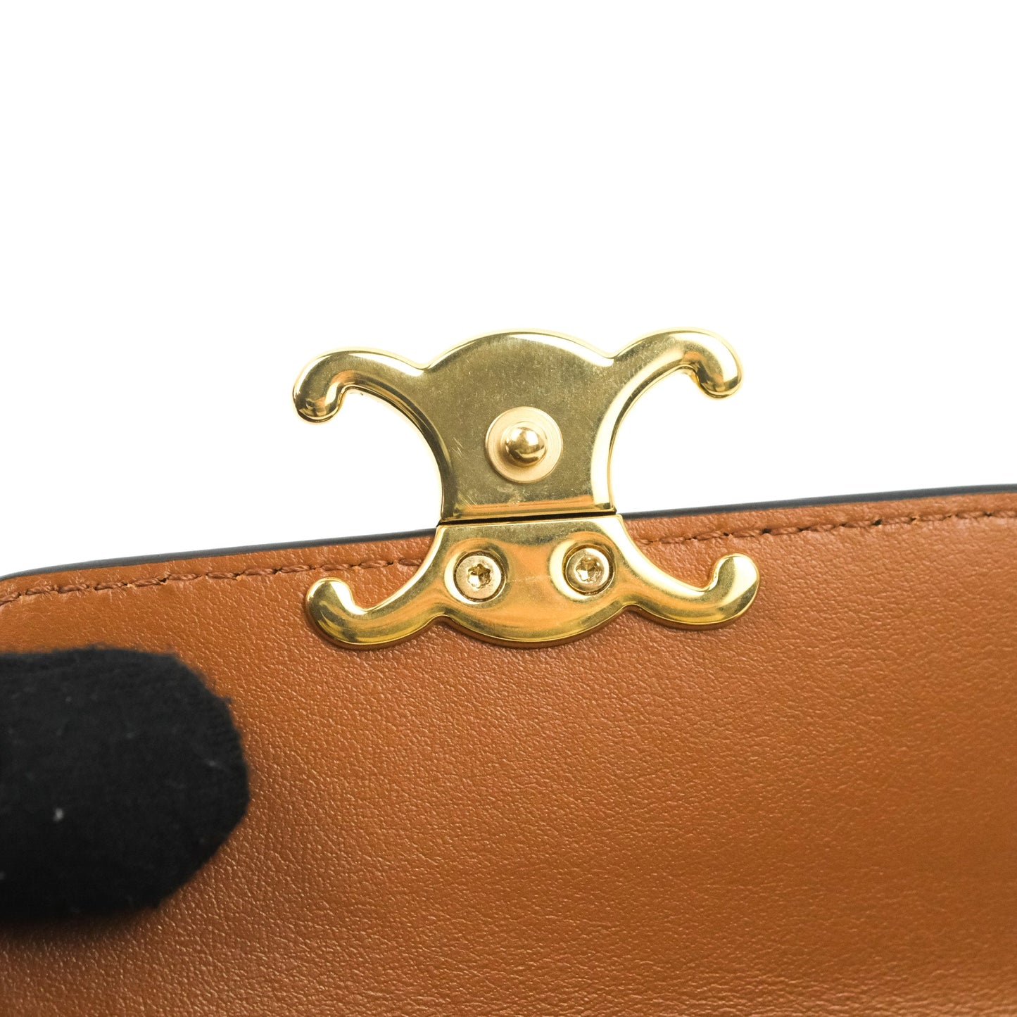 Celine Wallet In Triomphe Canvas Tan Lambskin