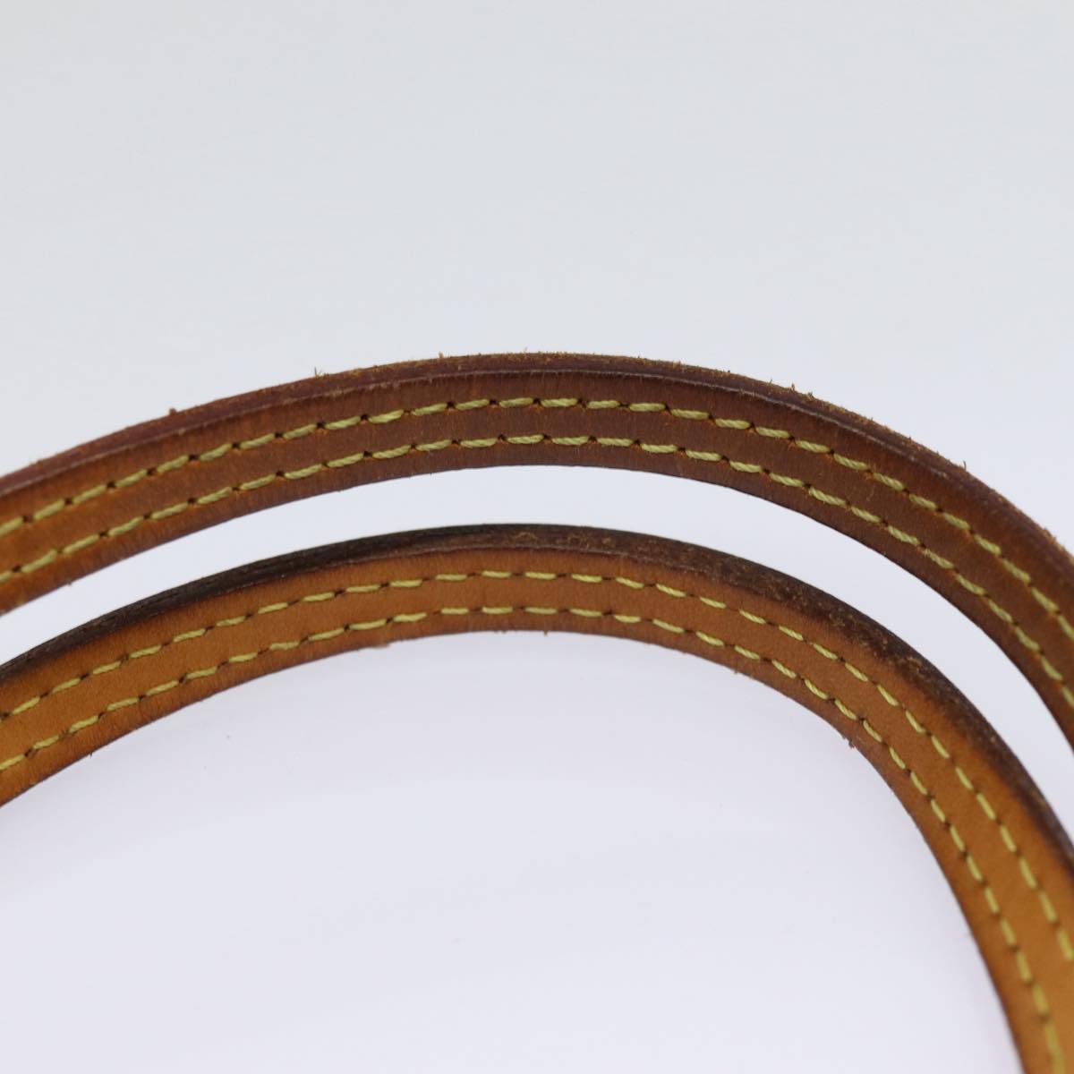 LOUIS VUITTON Neverfull PM Tote