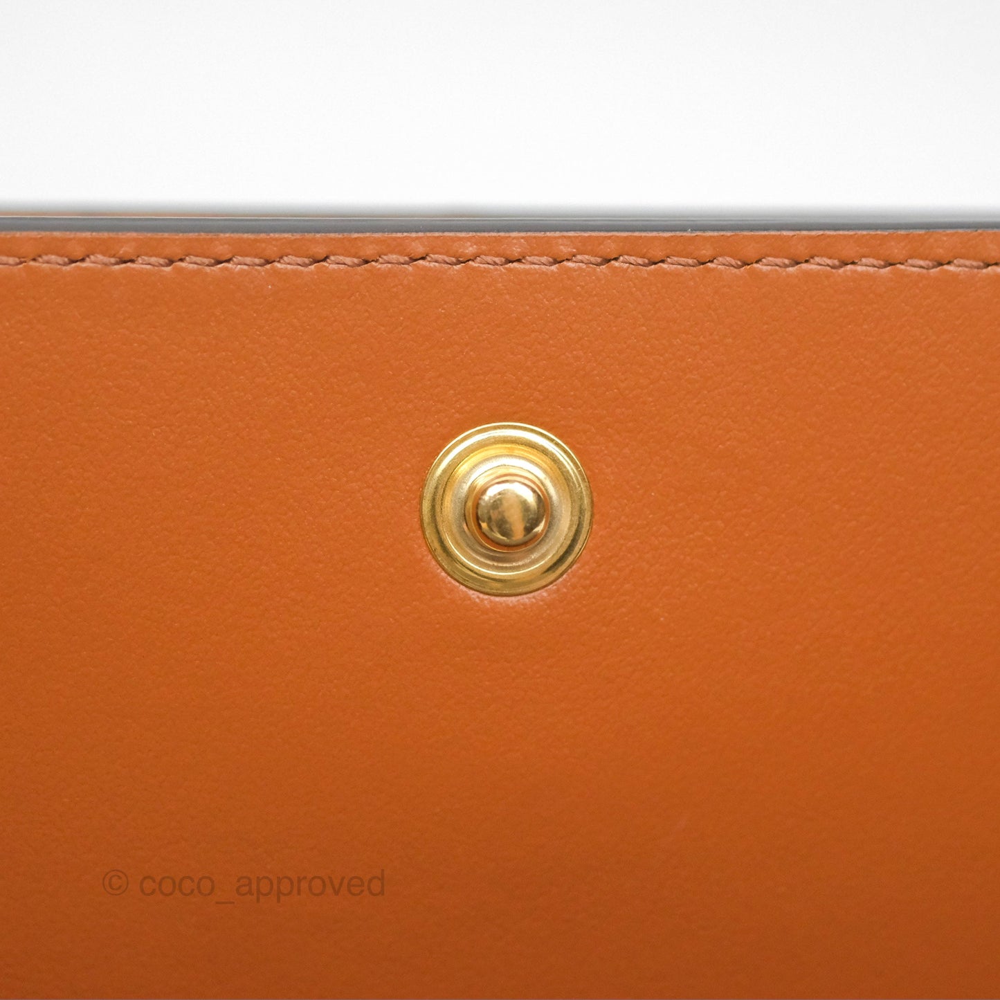 Celine Wallet On Strap Triomphe Canvas Tan Lambskin