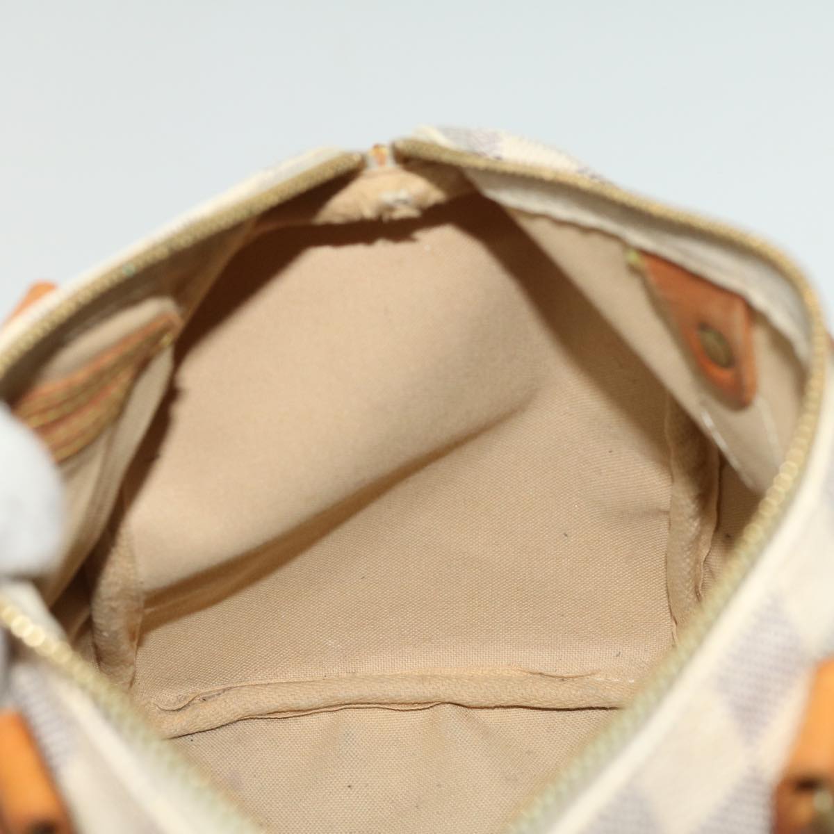 Louis Vuitton Speedy 25 Handbag