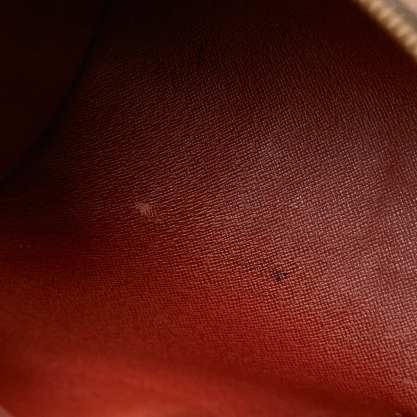 LOUIS VUITTON Papillon 30 Tote